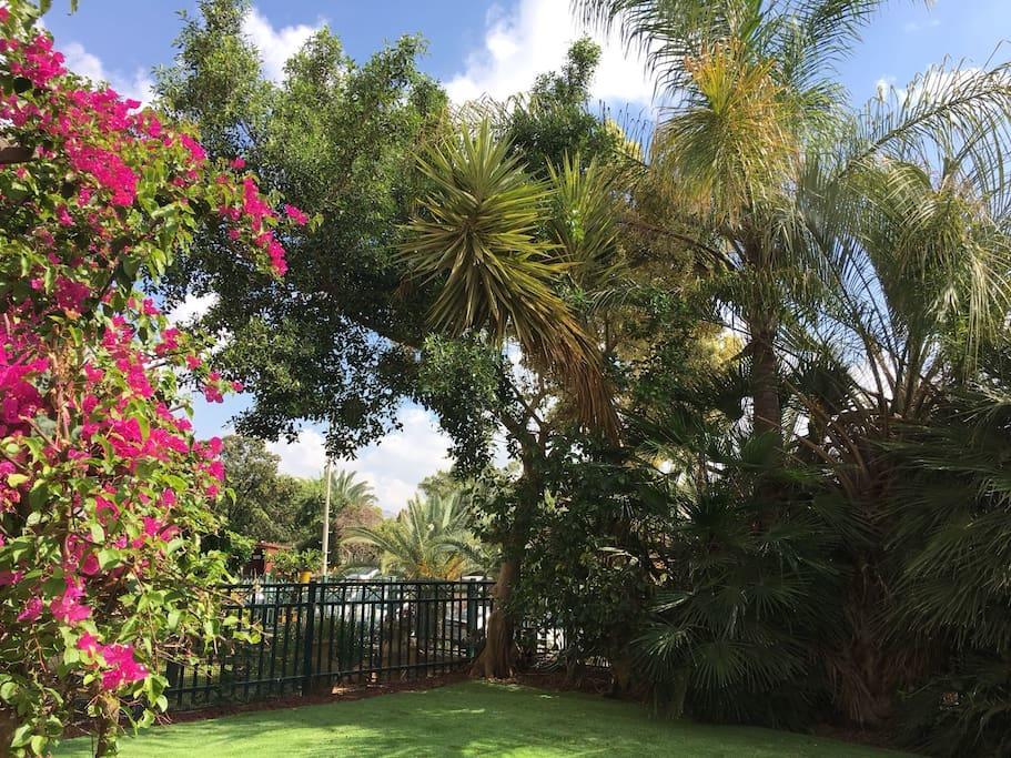 Pool & Garden Aparthotel Rehovot Bagian luar foto