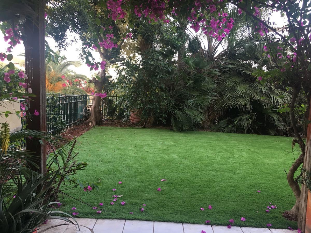 Pool & Garden Aparthotel Rehovot Bagian luar foto